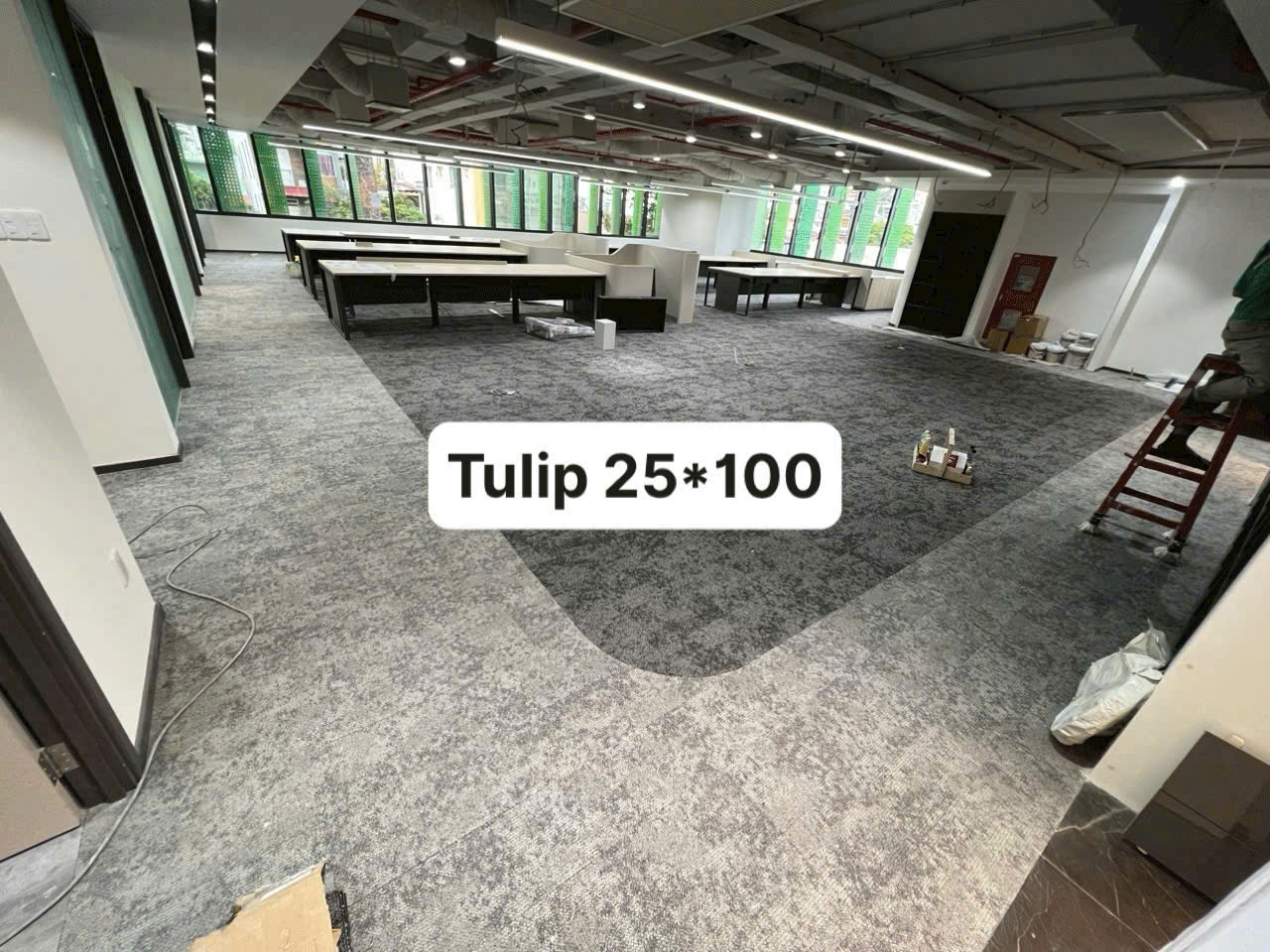 tham-lot-san-tulip