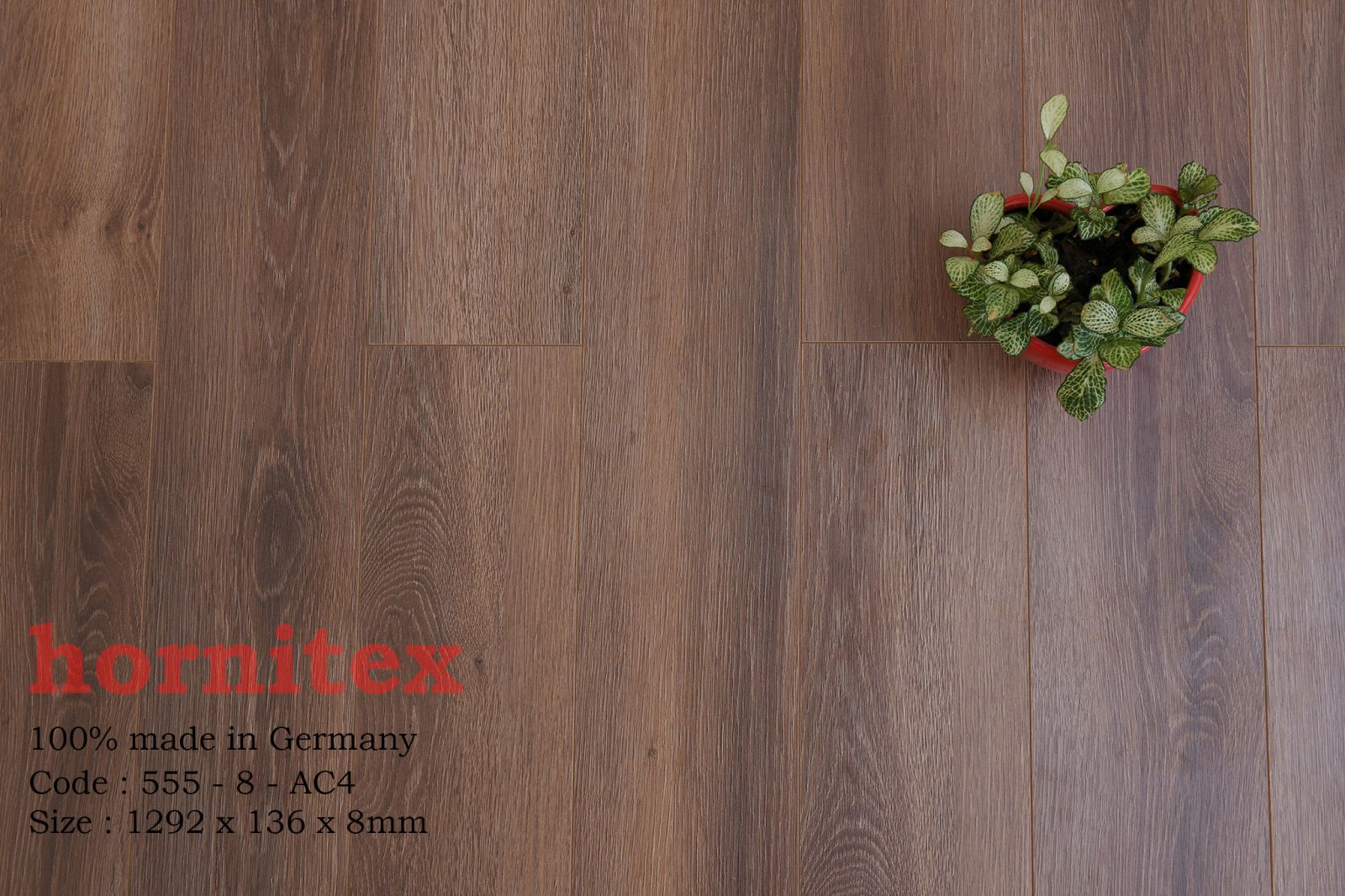 Sàn gỗ công nghiệp Hornitex 558-8- AC4 